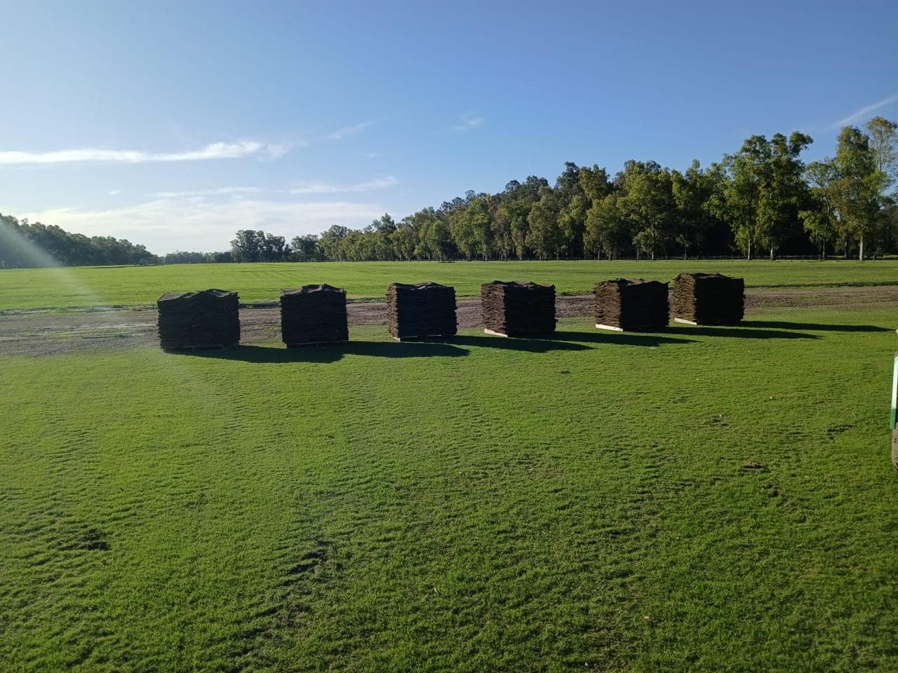 Pallets de Tifton listos para entregar Pallets de Tifton listos para entregar